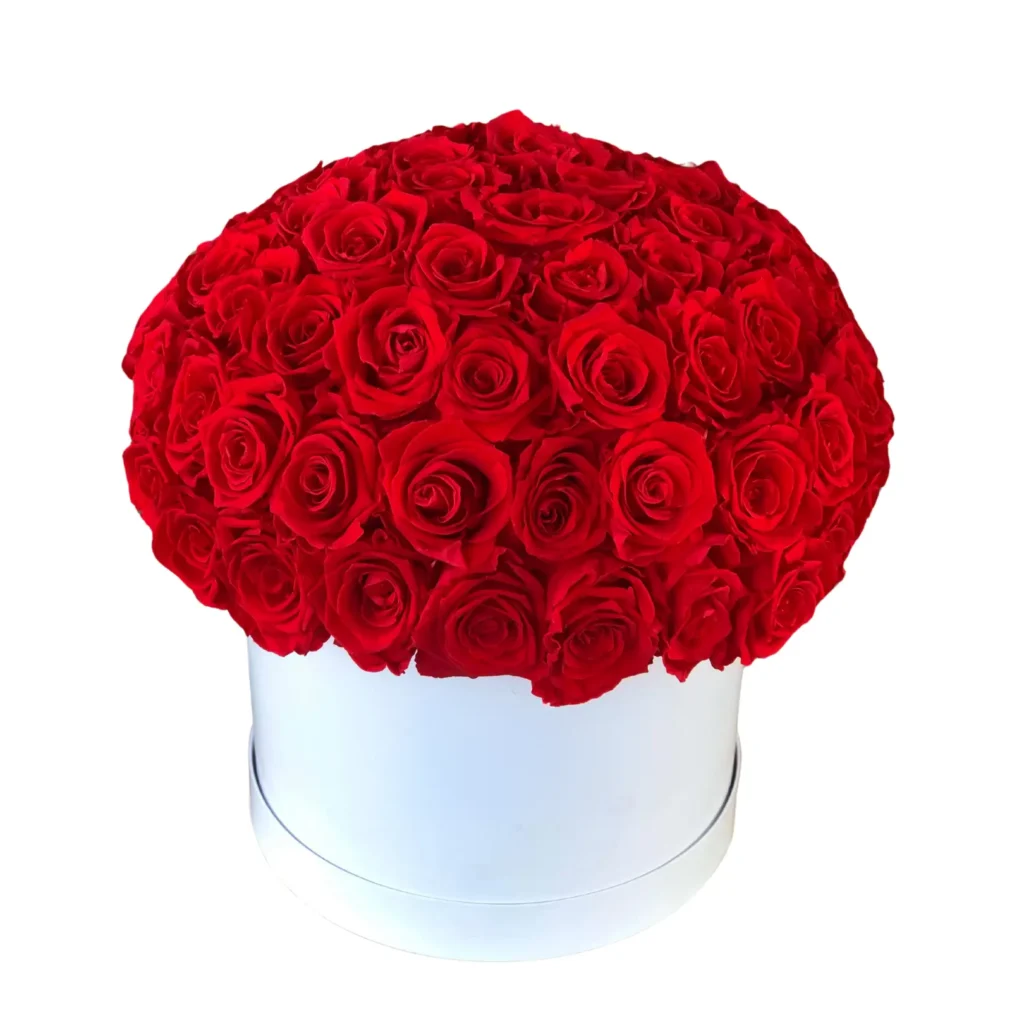 Love Dome Hat Box